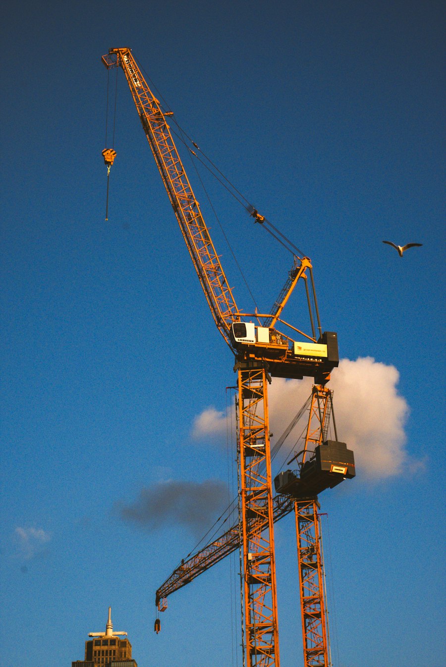 Construction cranes against a blue sky